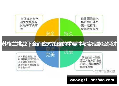 苏格兰挑战下全面应对策略的重要性与实现路径探讨